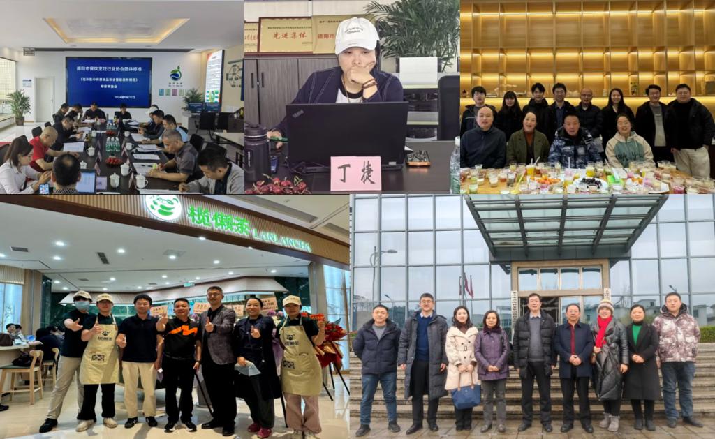深耕教学科研一线十余年